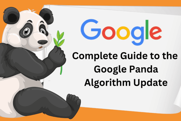 Complete Guide to the Google Panda Update