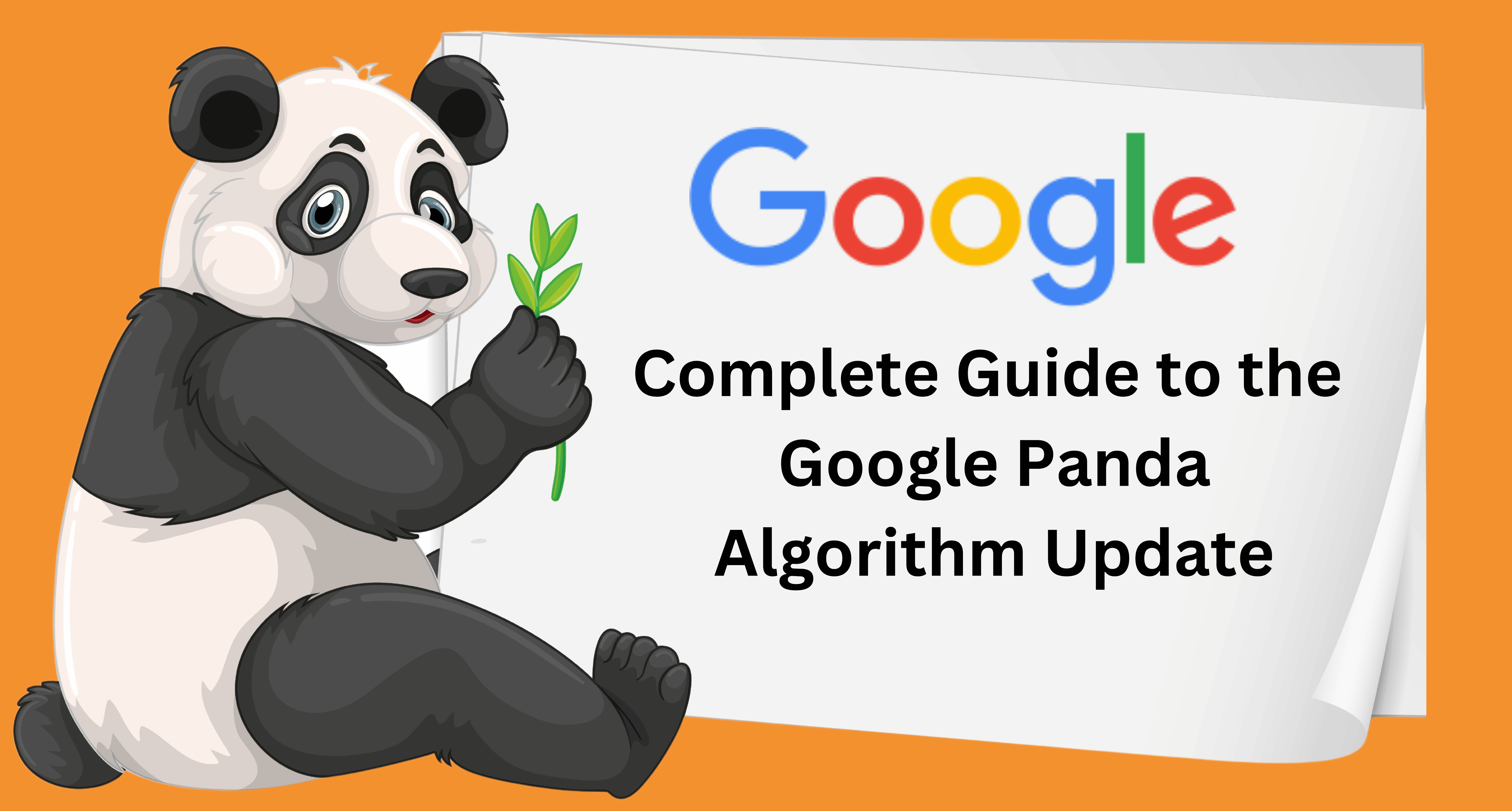 Complete Guide to the Google Panda Algorithm Update