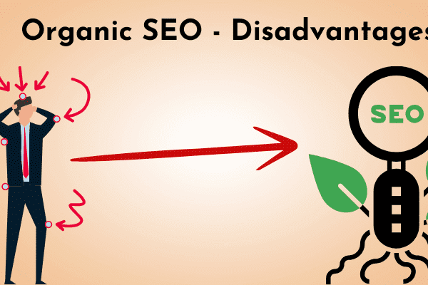 Organic SEO