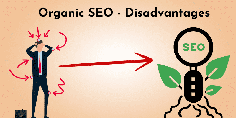 Organic SEO