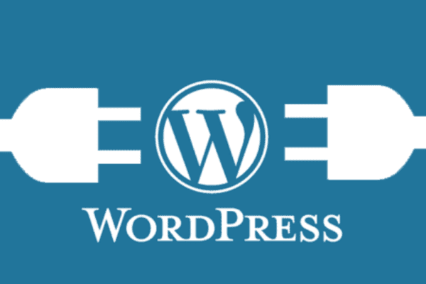 15 Must-Have WordPress Plugins for SEO and Performance WordPress Plugins